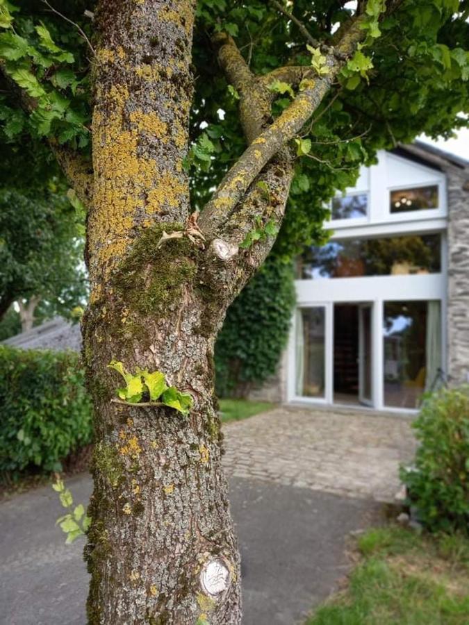 Li Gurni Villa Houffalize Dış mekan fotoğraf